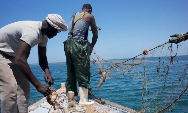 Mauritanie : les pêcheurs artisanaux autorisés à pêcher 15 jours avant la fin de l’arrêt biologique