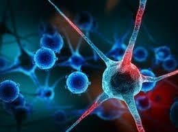 Santé : un nouveau médicament tchèque pour traiter le cancer de la prostate