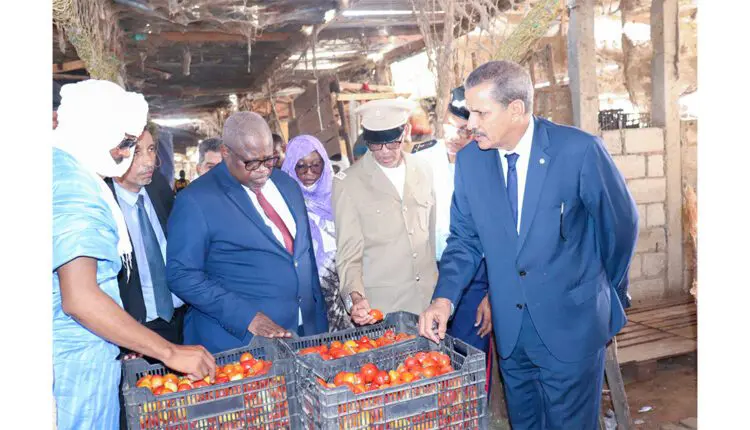 Mauritanie : le ministre du commerce satisfait du niveau d’approvisionnement des marchés