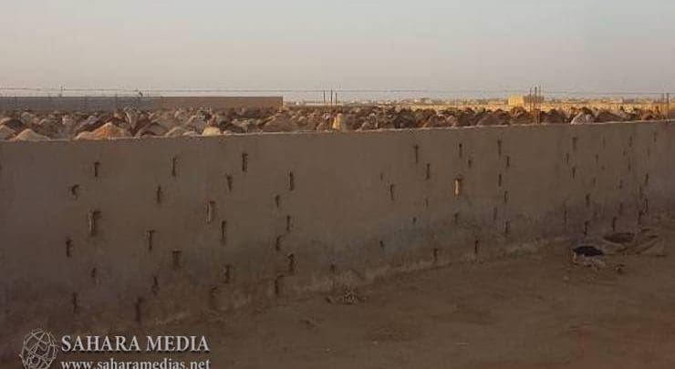 Mauritanie : des milliers de camelins exportés vers la Libye