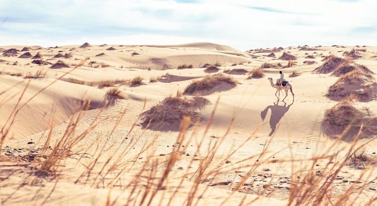 Climat : la Mauritanie au 8ème rang arabe des hausses de températures