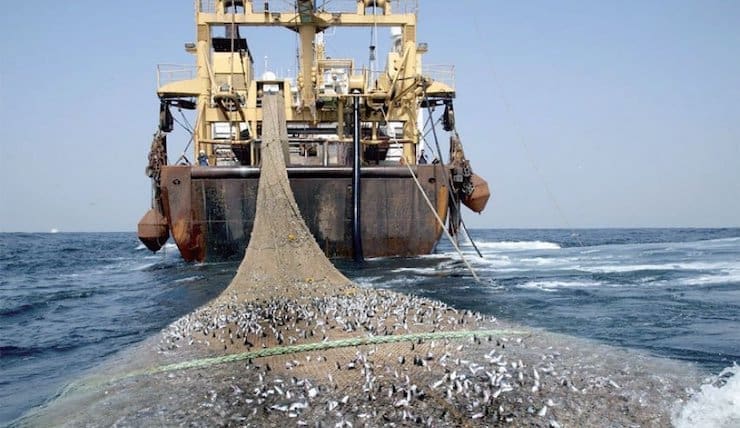 Mauritanie : des explications officielles à propos de la pêche de surface