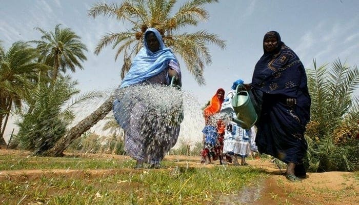 Aide française à la Mauritanie : 9 millions d’euros pour développer l’agriculture