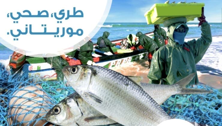 Mauritanie : importante campagne pour la promotion de la consommation du poisson