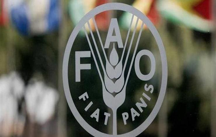 La Mauritanie élue membre du conseil de la FAO pour un mandat de quatre ans