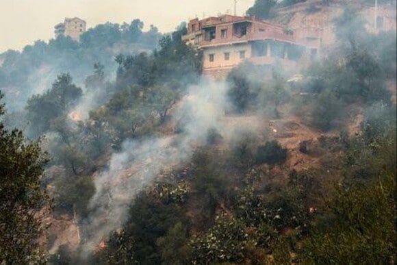 Algérie : 18 militaires périssent alors qu’ils tentaient d’éteindre des feux de forêts