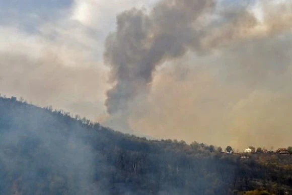 Algérie : 5 victimes dans des feux de forêt