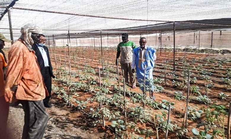 Rosso : signature d’un accord qui va permettre aux diplômés chômeurs d’exploiter des périmètres agricoles à M’Pourié