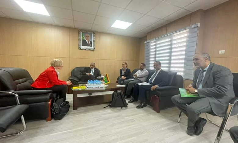 Mauritanie : 14 milliards MRO pour faciliter l’accès des jeunes à l’emploi