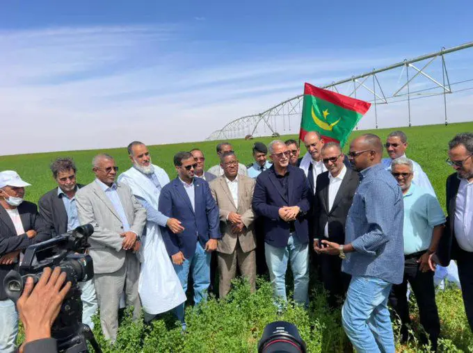 Mauritanie : expérience réussie pour la culture du blé