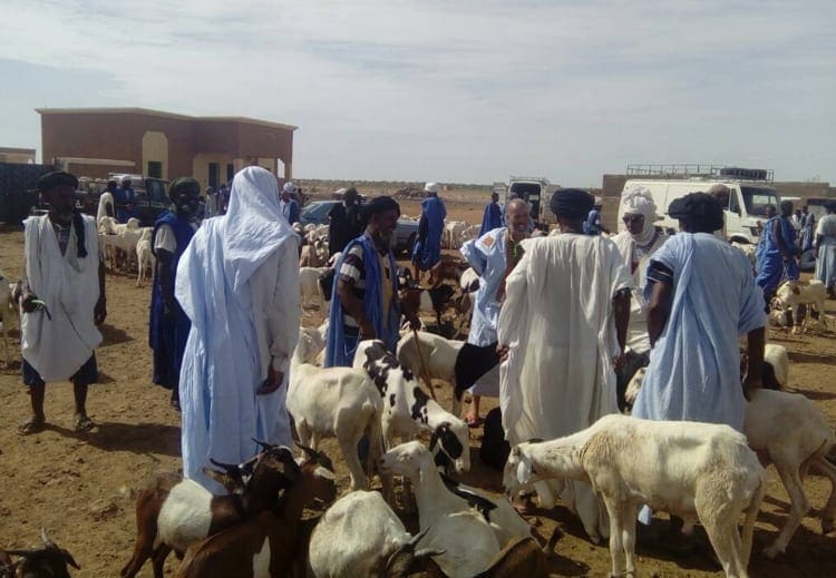 Recensement de la richesse animale : près d’un millions de têtes dans la wilaya du Guidimakha
