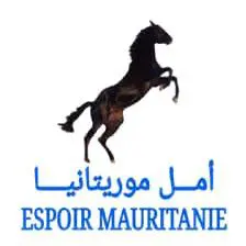 Un groupe EMEL Mauritanie constitue une commission d’enquête parlementaire consacrée à 3 secteurs