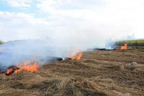 Tagant : mise ne place d’un programme de tracé de pare-feu dans la wilaya