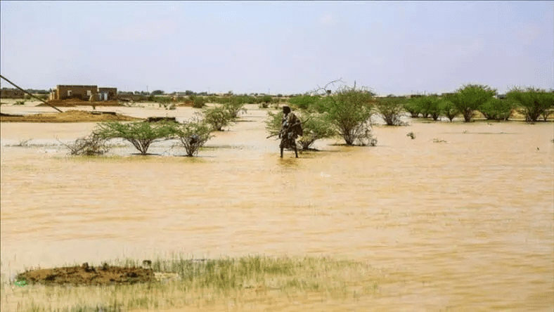 Météo : prévisions de pluies significatives sur 7 wilayas du pays