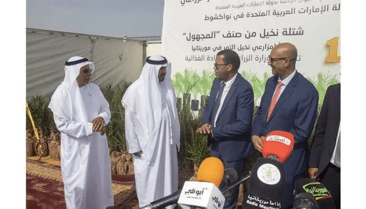 Plus de 1000 plants de palmiers dattiers offerts à la Mauritanie par les EAU