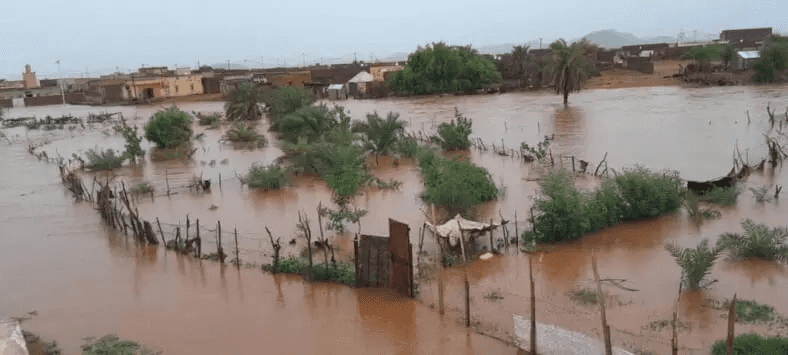 Météo : fortes précipitations prévues dans 6 wilayas du pays et les populations appelées à la prudence