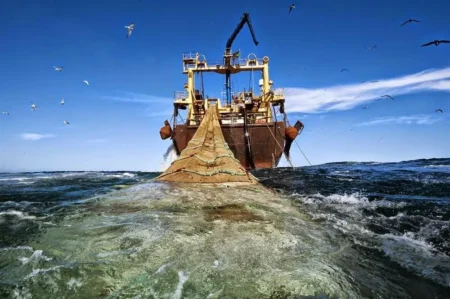 L’AMAM appelle à la régularisation de la situation des marins embarqués sur les navires de pêche