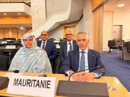 Migration : les efforts de la Mauritanie salués à Genève par le rapporteur des Nations Unies sur les droits de l’homme et des migrants