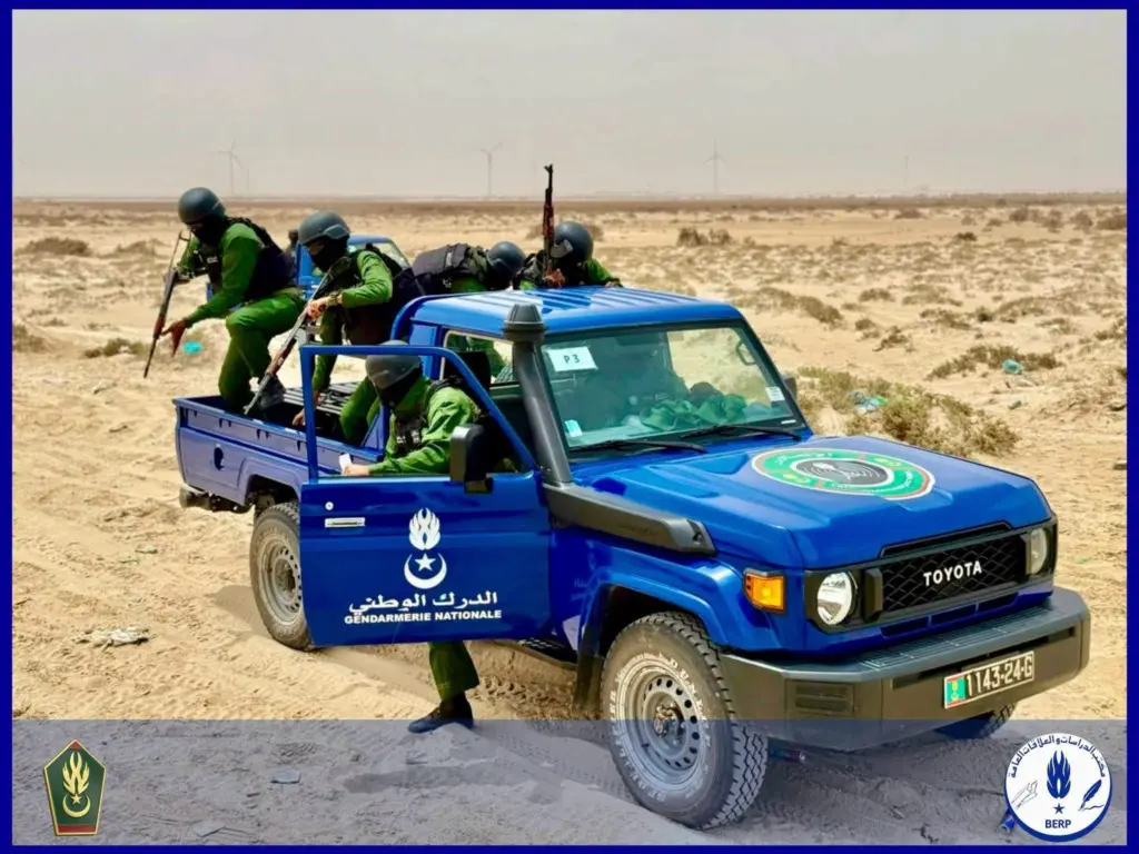 Importantes saisies au tableau de chasse de la gendarmerie ces dernières semaines après le démantèlement de plusieurs réseaux de trafiquants de drogues