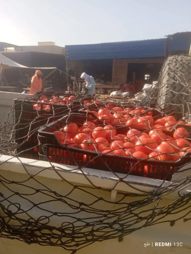 Hausse des prix de tomates : saisie de 4,7 du produit objet de spéculation dans la moughata d’El Mina